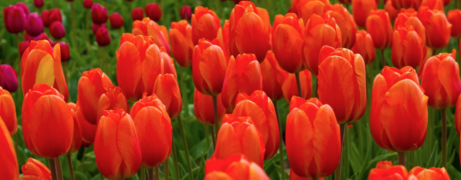 Валентина Рамазанова