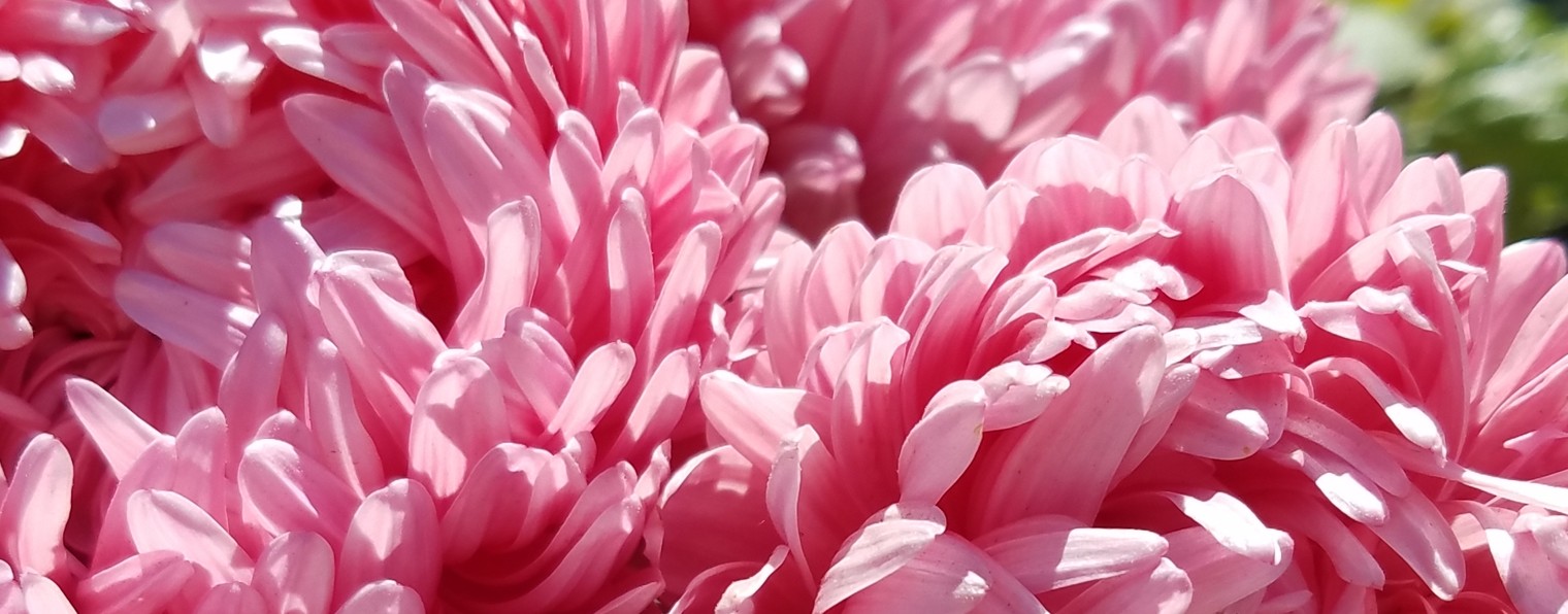 ❤ Просто для души ❤