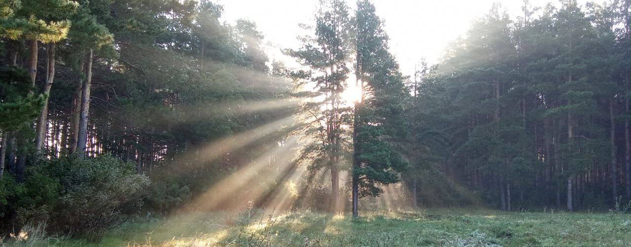 Николай