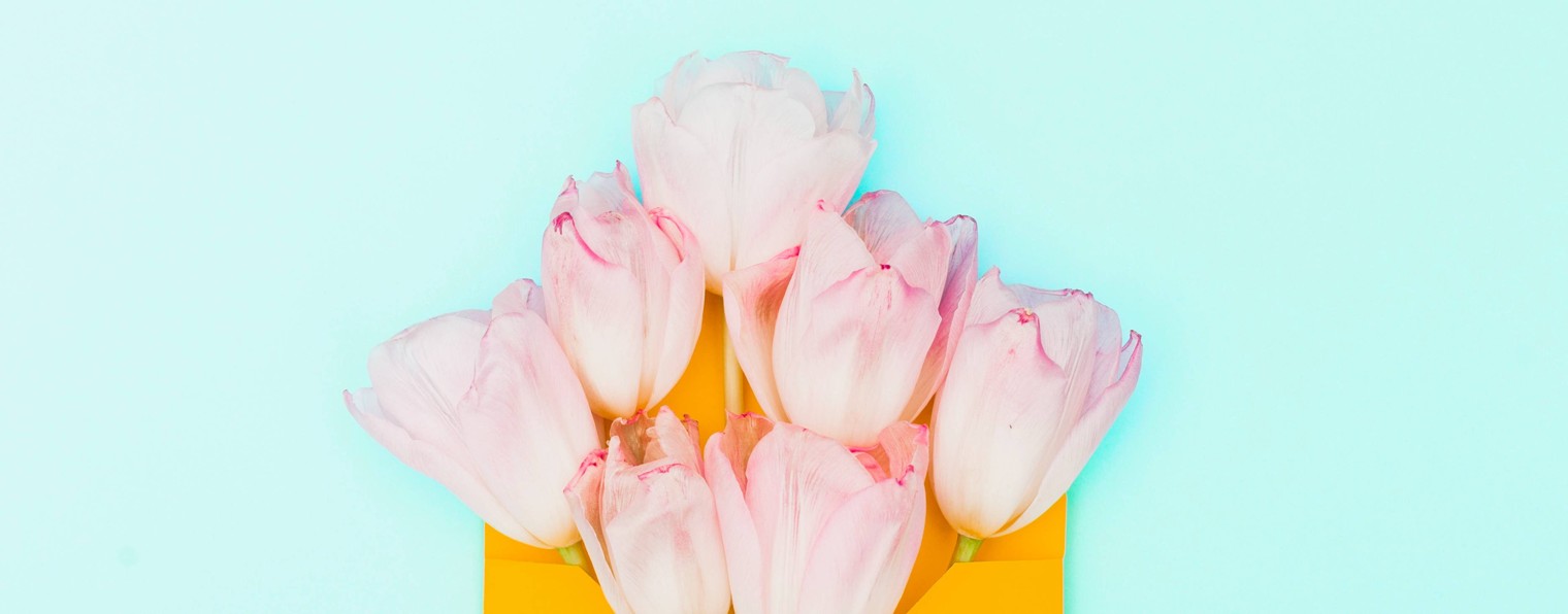 Басятки Лилишки