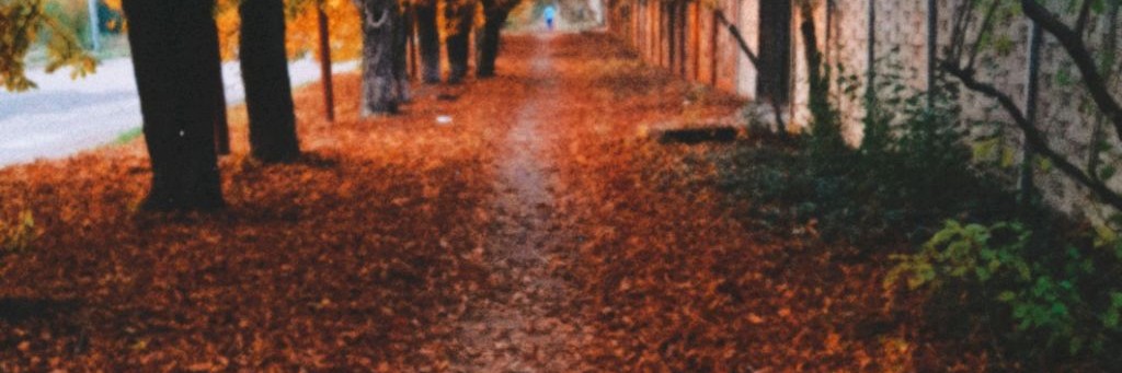 Дарина Минина