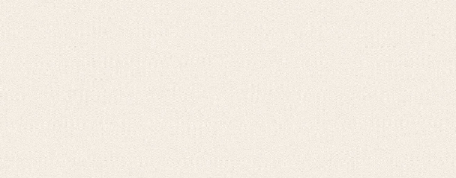 Максим Пестич|Реконструкция Личности