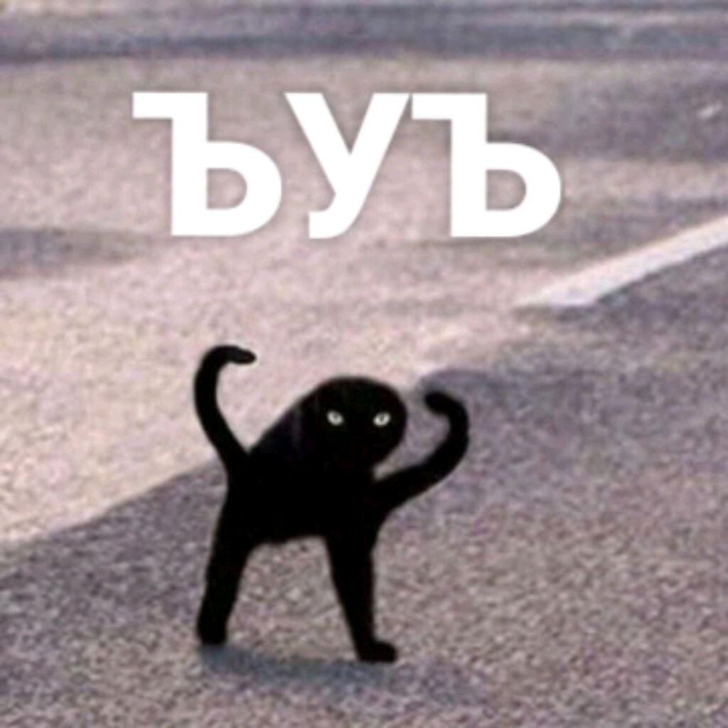 itz.polina#⛄❄️