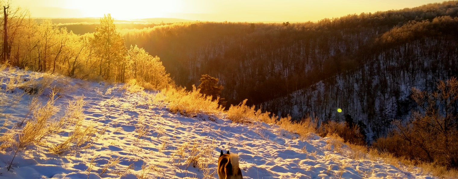 ТАЁЖНЫЕ БЫЛИ