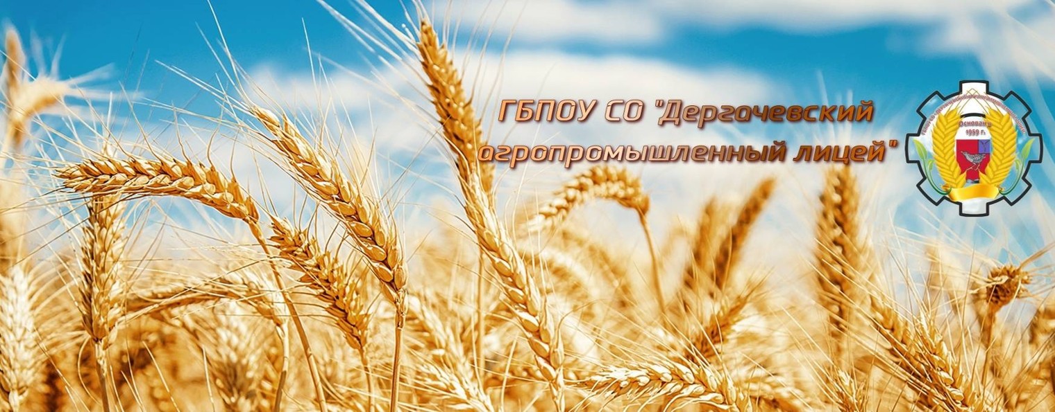 ГБПОУ СО "Дергачевский агропромышленный лицей"