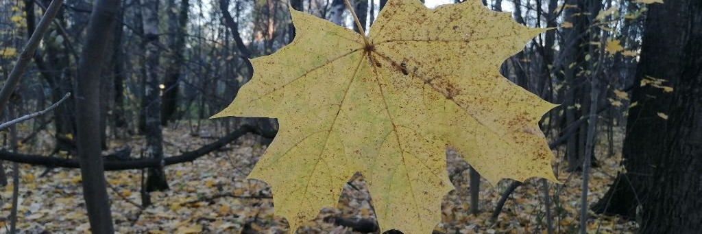 Константин & ко
