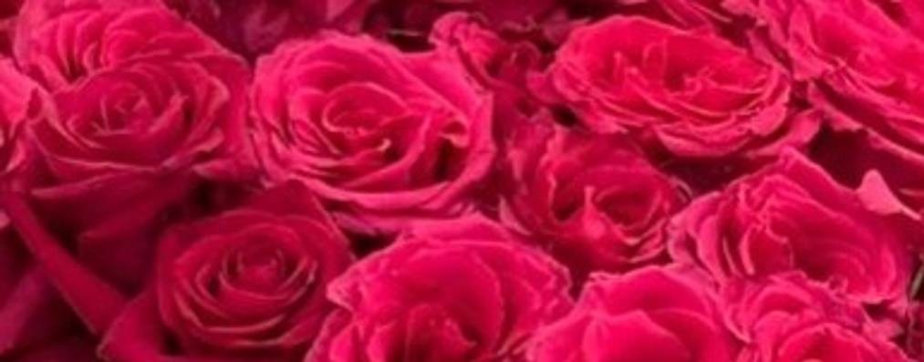 Тело+душа+созидание 40+50+60+