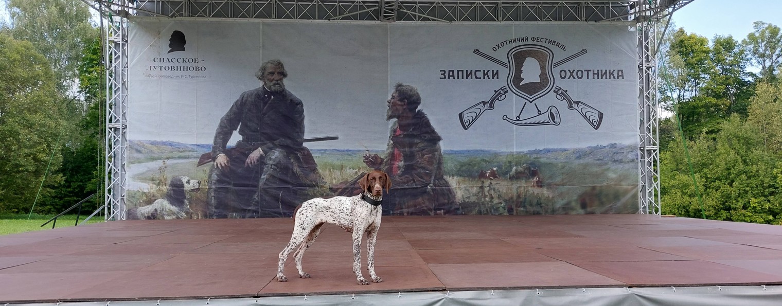 Записки городского легашатника