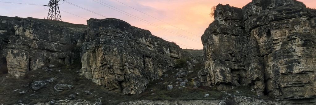 Лавандовое Безумие