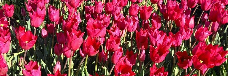 Цветочница Зоя🌺