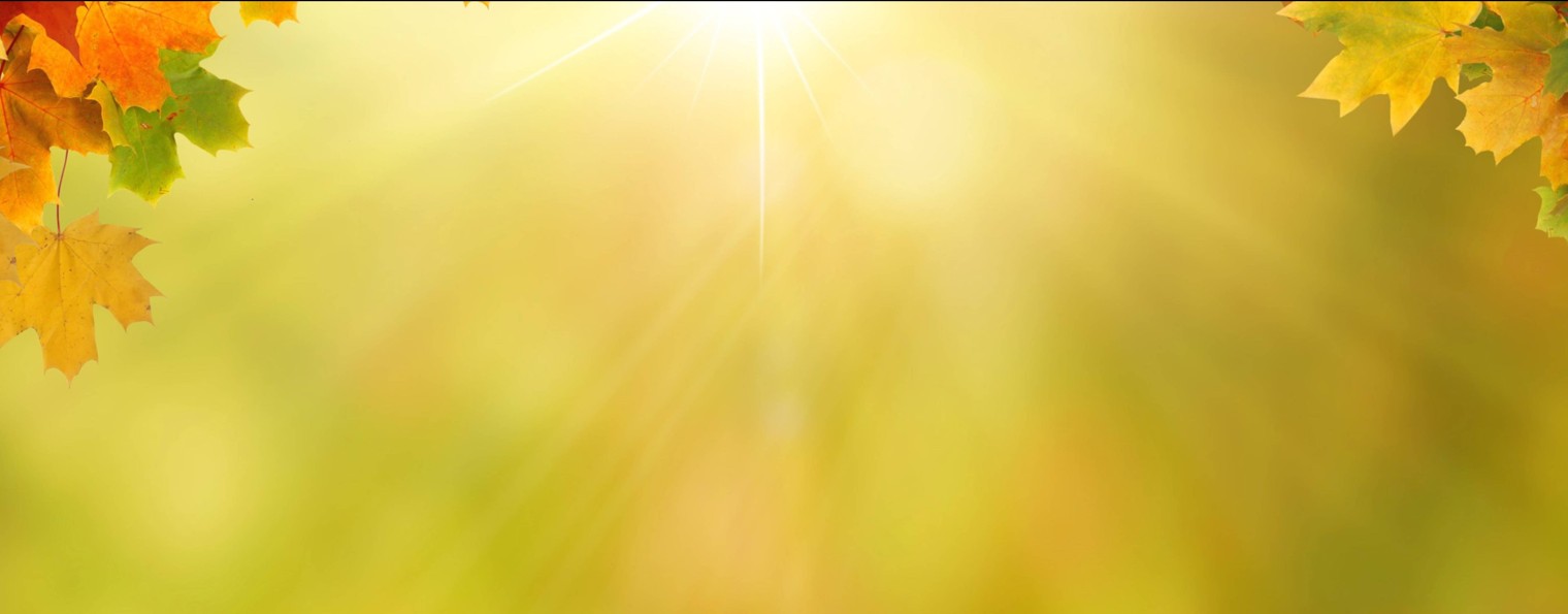 Наталья Ловейкина @loveikina_natalia