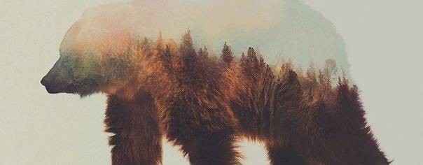 Мужской стиль мышления.