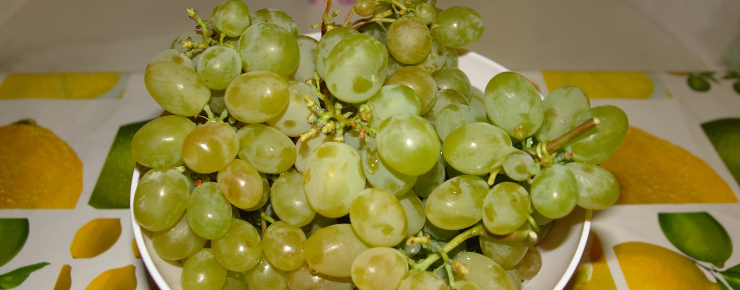 Сергей, Виноград Ивановых Курск