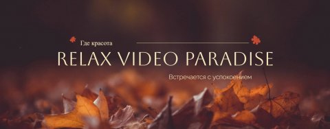 Relax Vedeo Paradise
