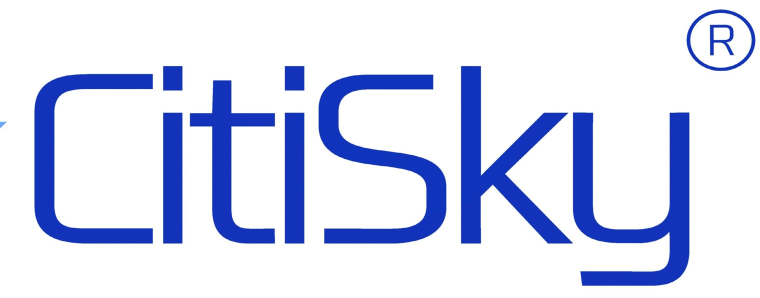 CitiSky_мансардные окна