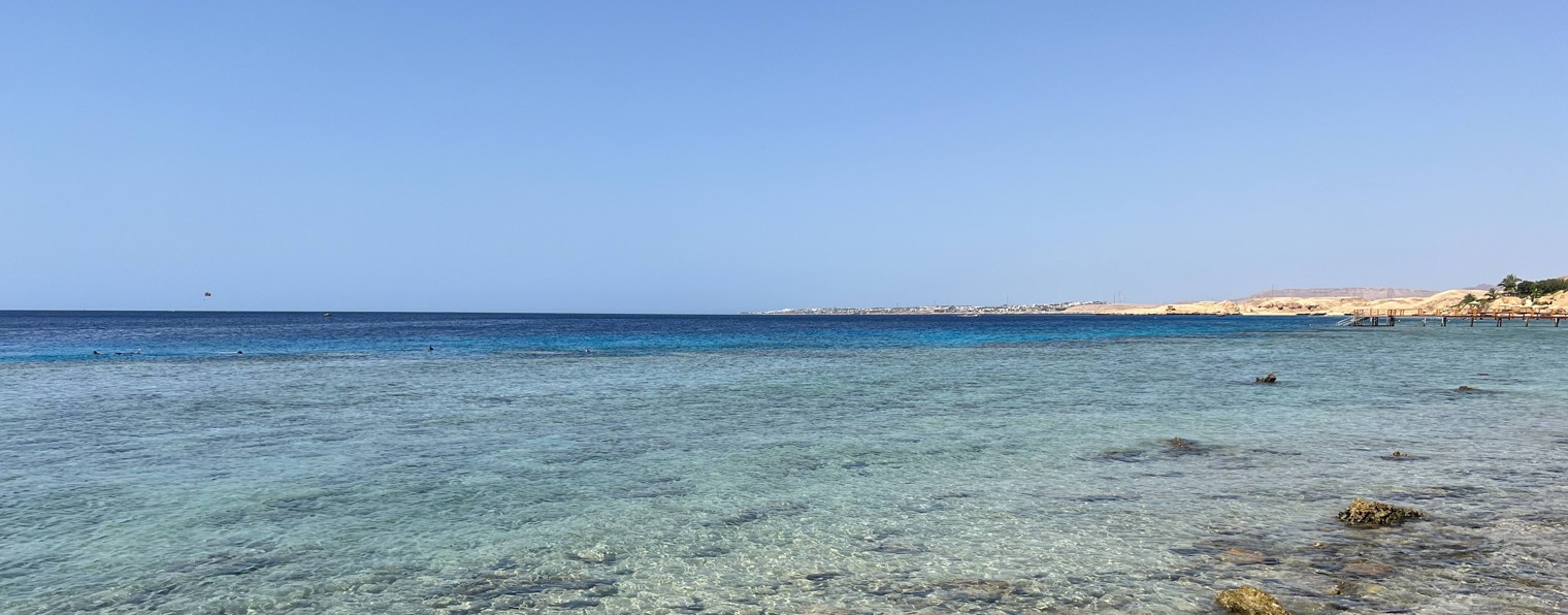 Андрей Лозунов - Личный блог