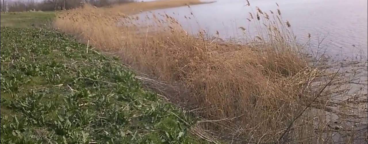 Николаевское сельское поселение  ЩМР