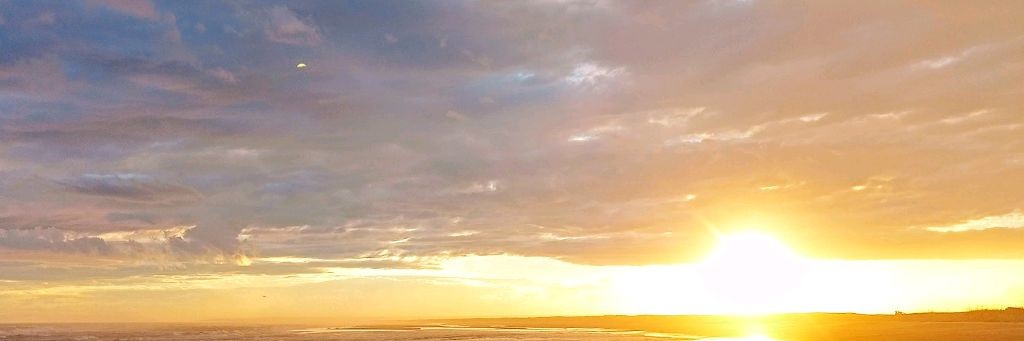 Охота ОТ и ДО