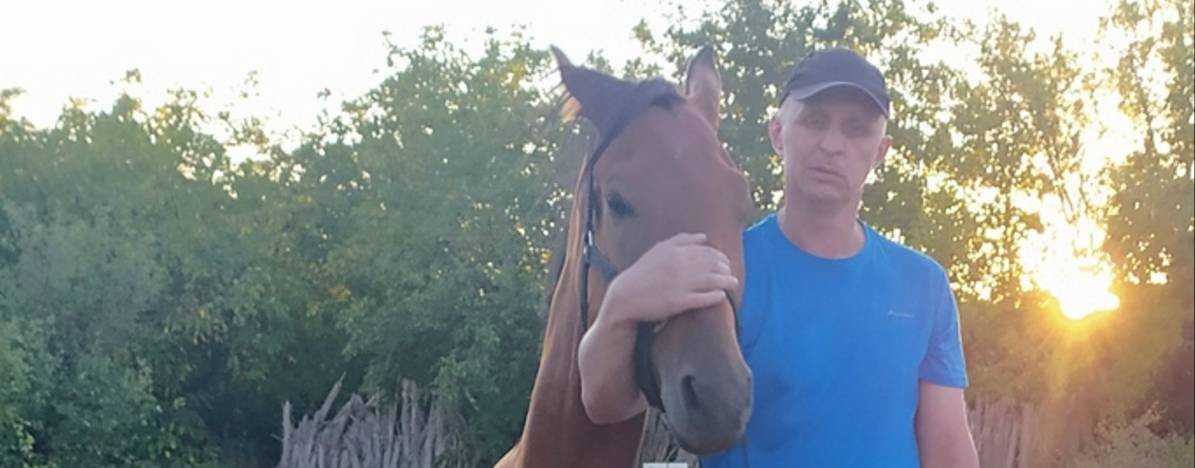 Horse Familу. Онлайн обучение лошади +79515024687