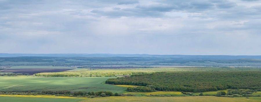 Пенсионеры России