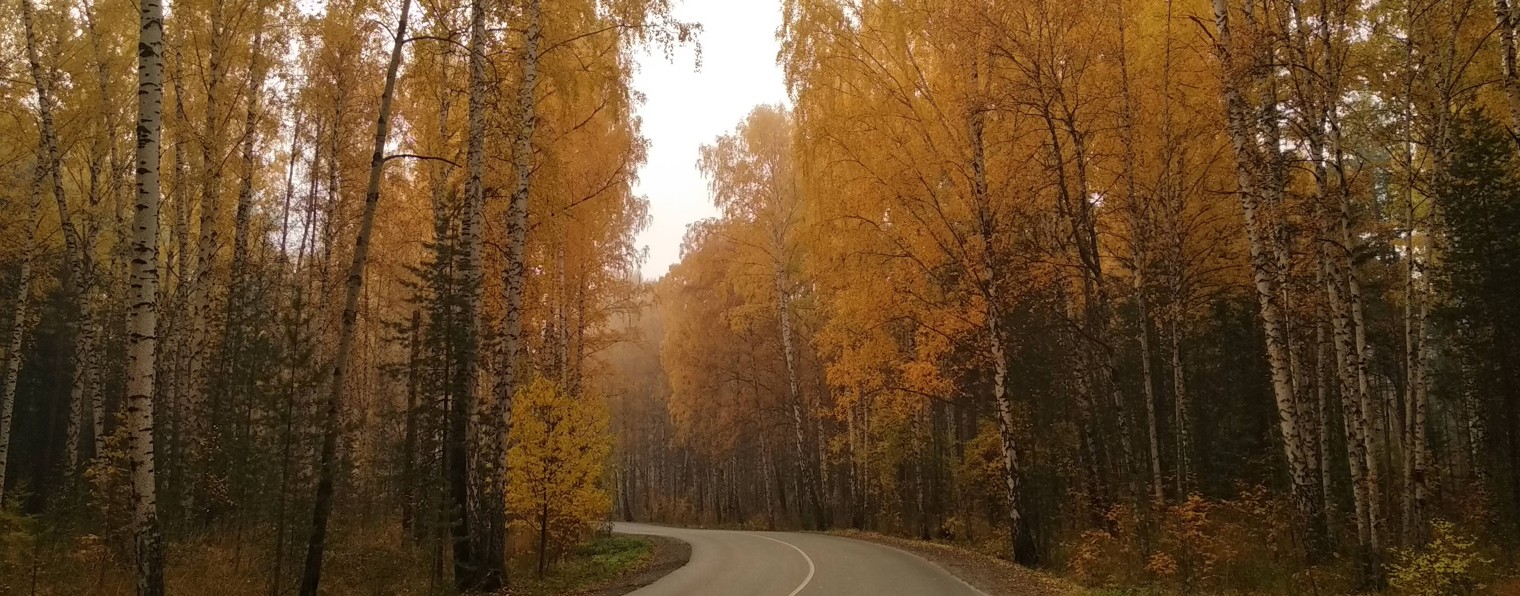 Юлия Шлентова