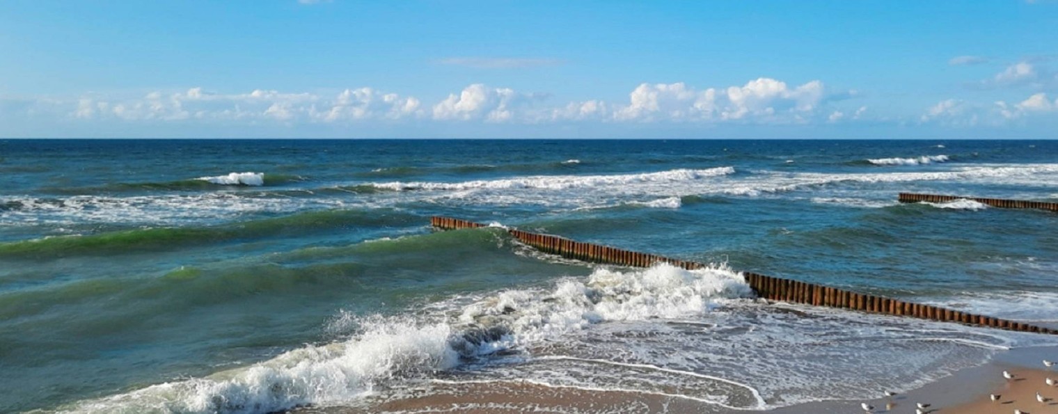 Светлана Резепова