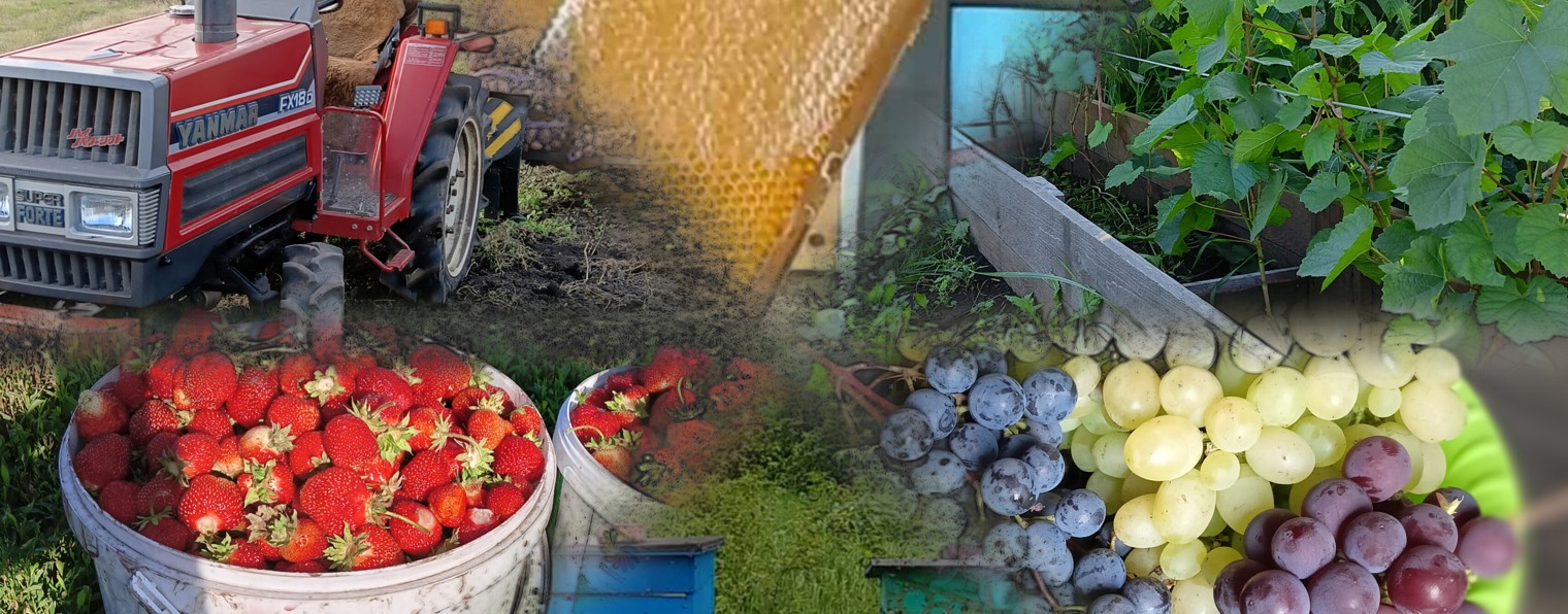 " Простая жизнь простых людей "