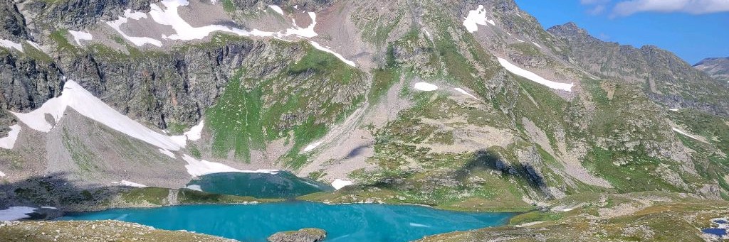 КАВКАСИОНИ