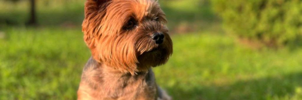 У МЕНЯ ЕСТЬ ВСЁ