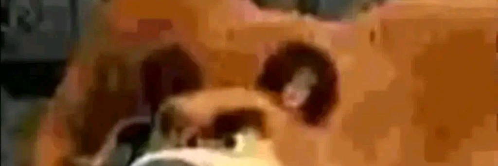 Дед со старческим маразмом