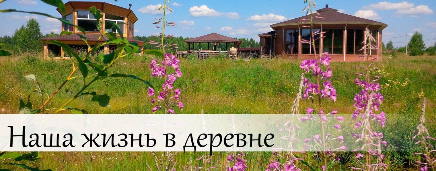 Семья Круглодомовых