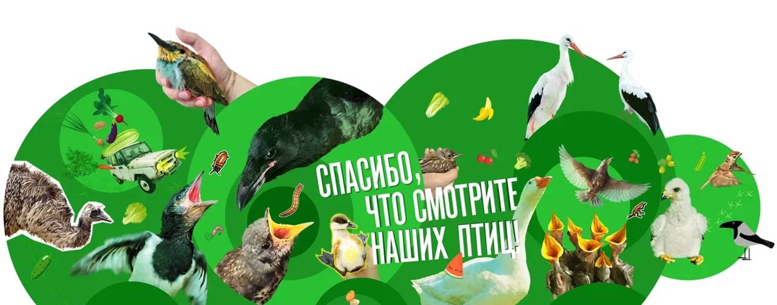 Центр реабилитации «Воронье Гнездо»
