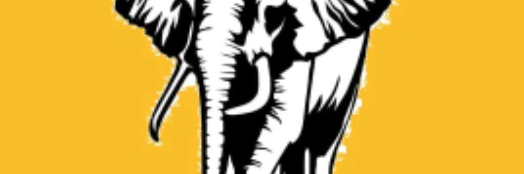 Мебельный Слон   г.Черкесск