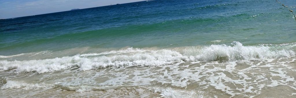 Гришкины записки!