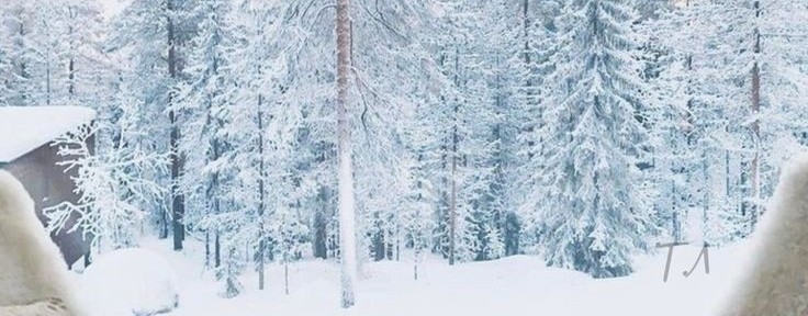 🙂Курочкин Александр