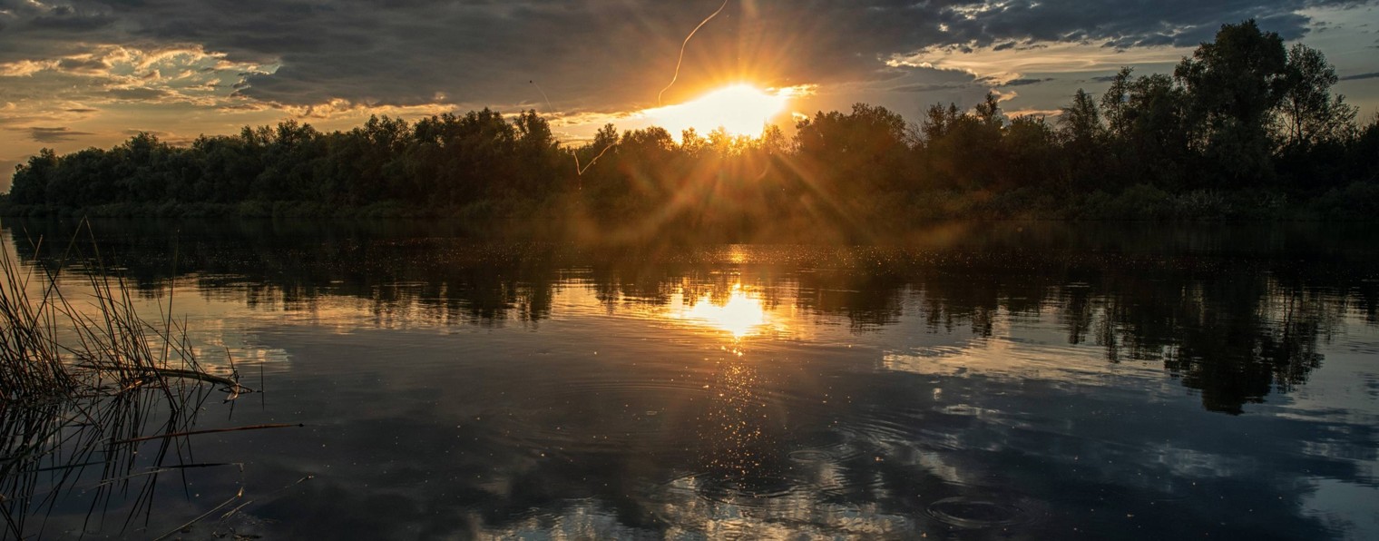ФОТОШКОЛА ОЛЬГИ ПАПИНОЙ