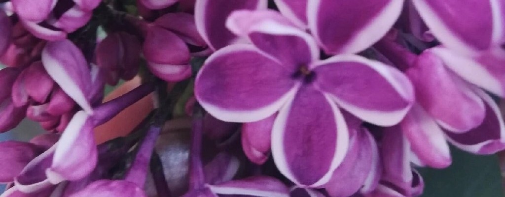 Красота Души!!!