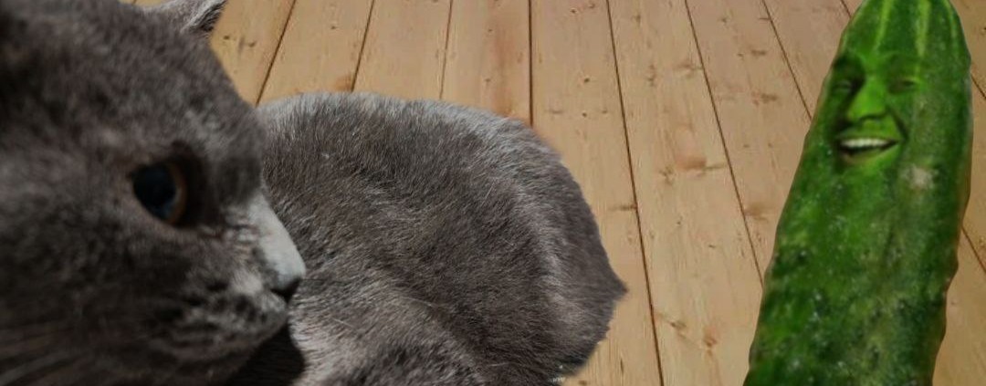 кот Петрович