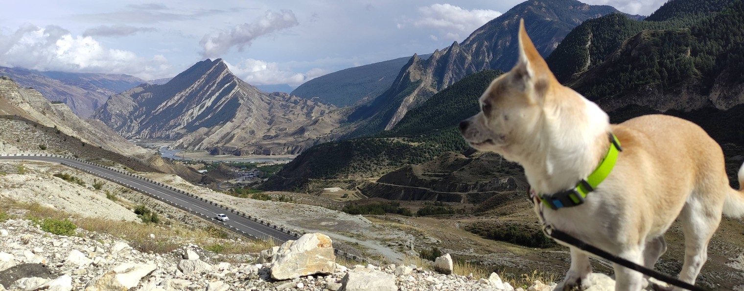 Матвеев Павел