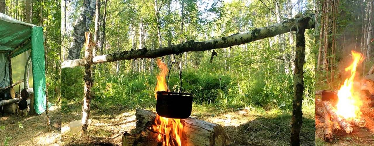 Живая Тайга