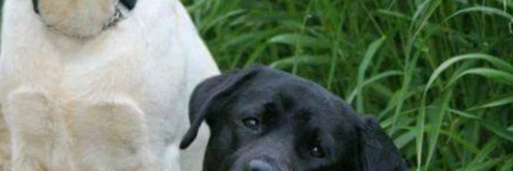 Луиза_чеек❤🔥🇷🇺