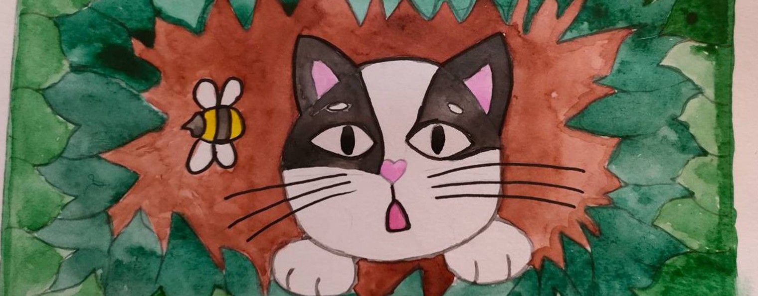 Я,мой кот и шизофрения