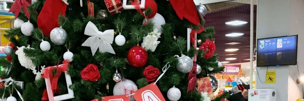 Девочки близняшки.