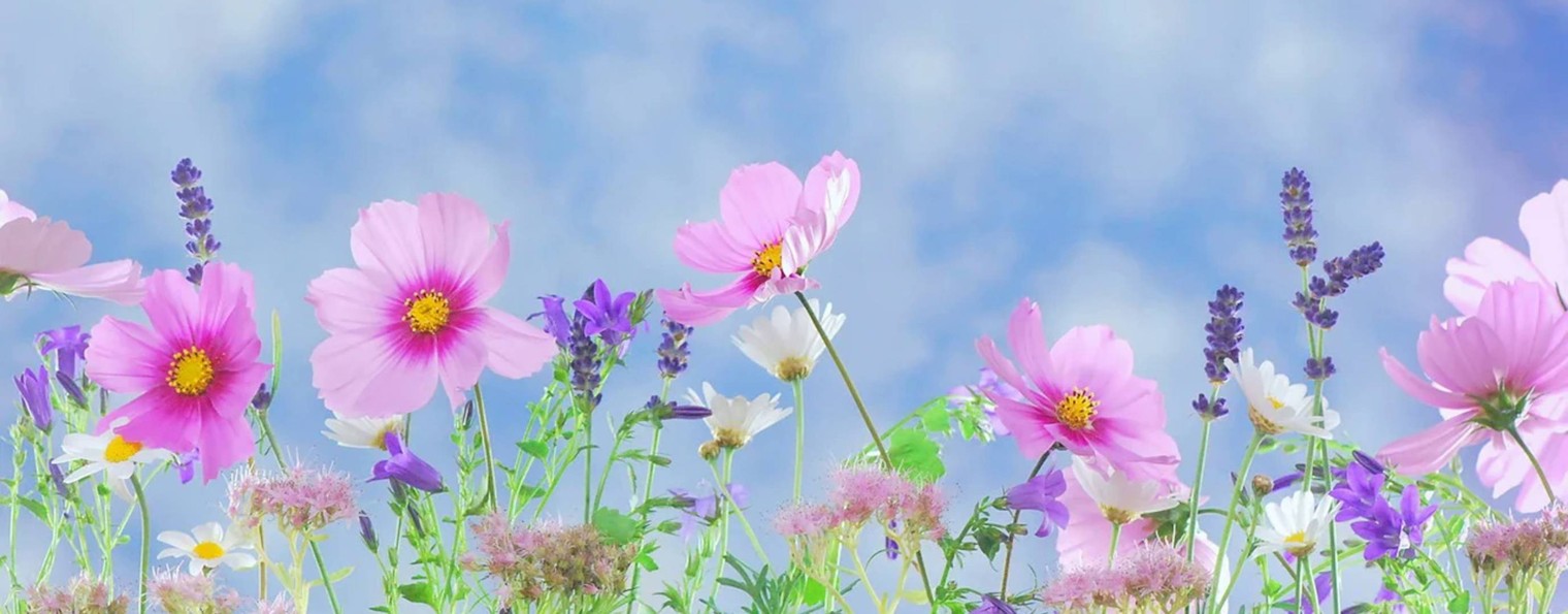 Поэт Нина Игнатова - стихи о любви, вере и надежде