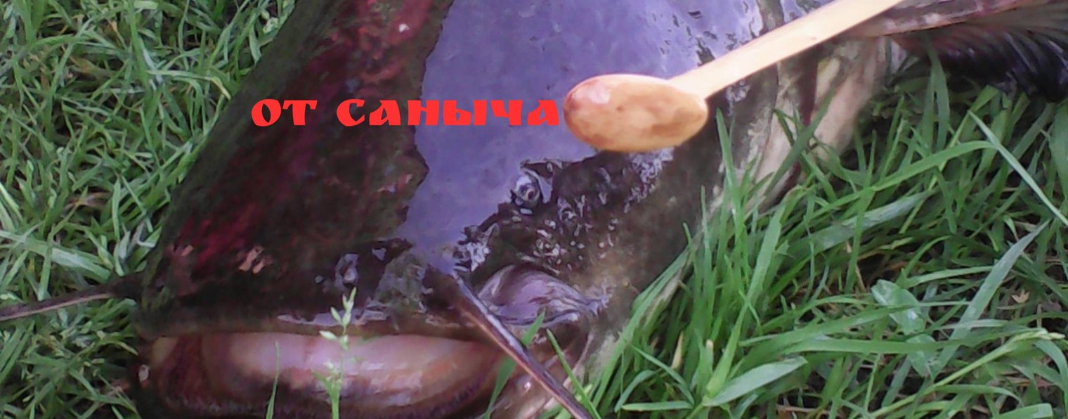 От Саныча