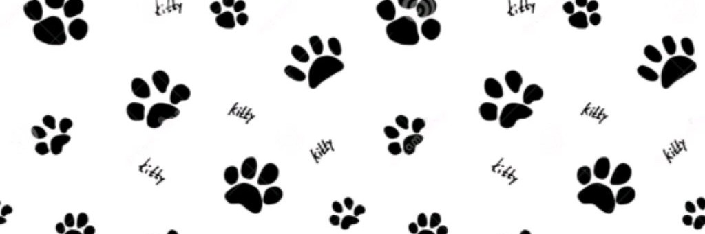 🐾Бумажная кошка 🐾