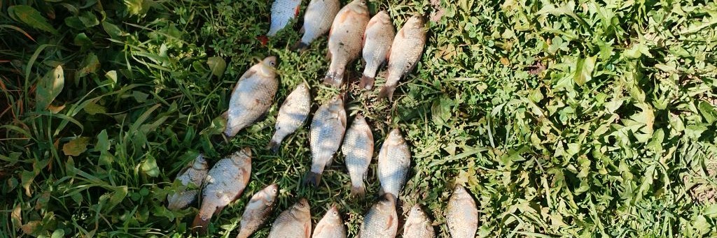 Кирилл Рыбак