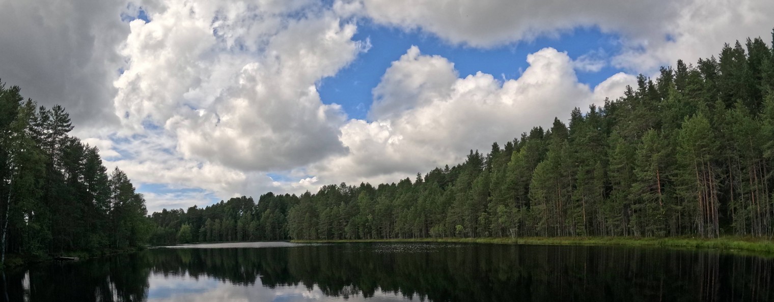 Трезвый Рыбак | ОТДЫХ НА ПРИРОДЕ
