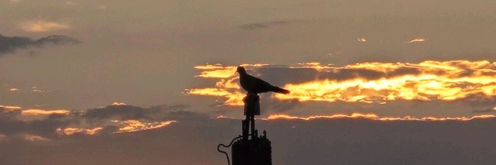 Василий Вело покатушки