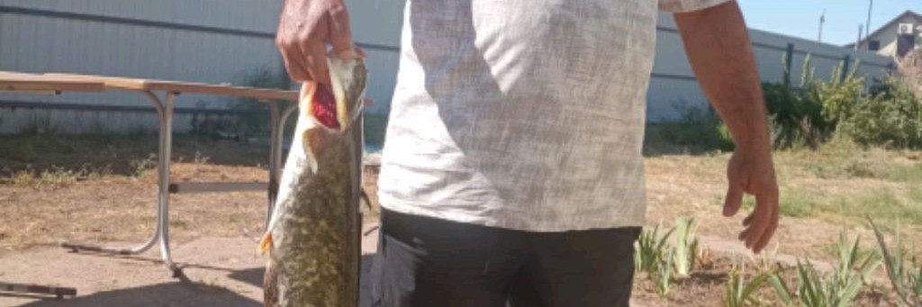 channel52847293Сержик